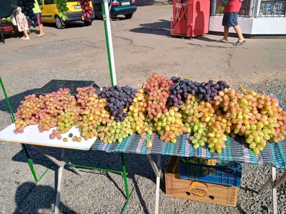 Черенки винограда