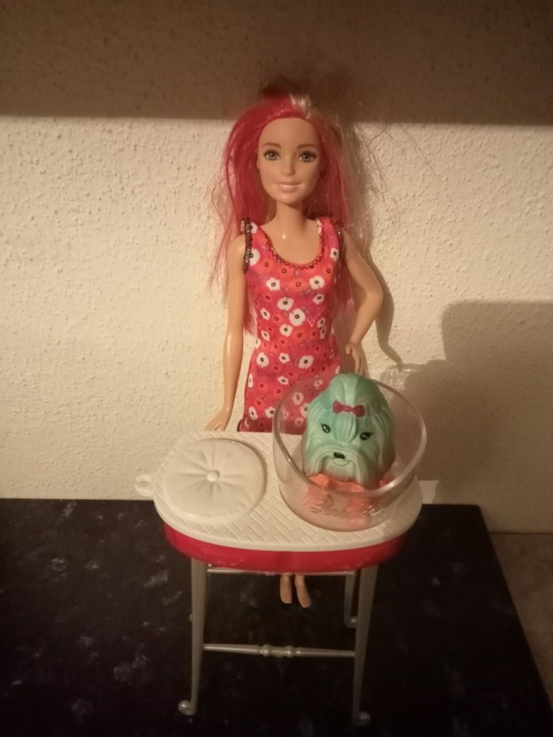 Barbie e cão muda de cor