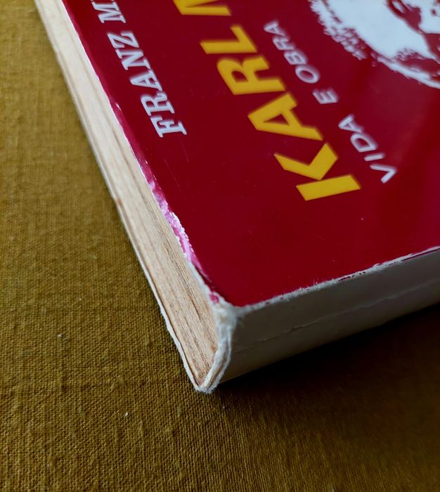 Karl Marx Vida e Obra Vol I e II