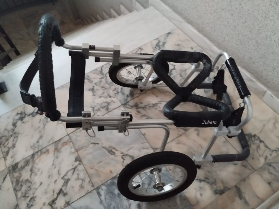 Cadeira de rodas para cão.