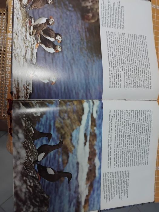 Enciclopédia A Fauna