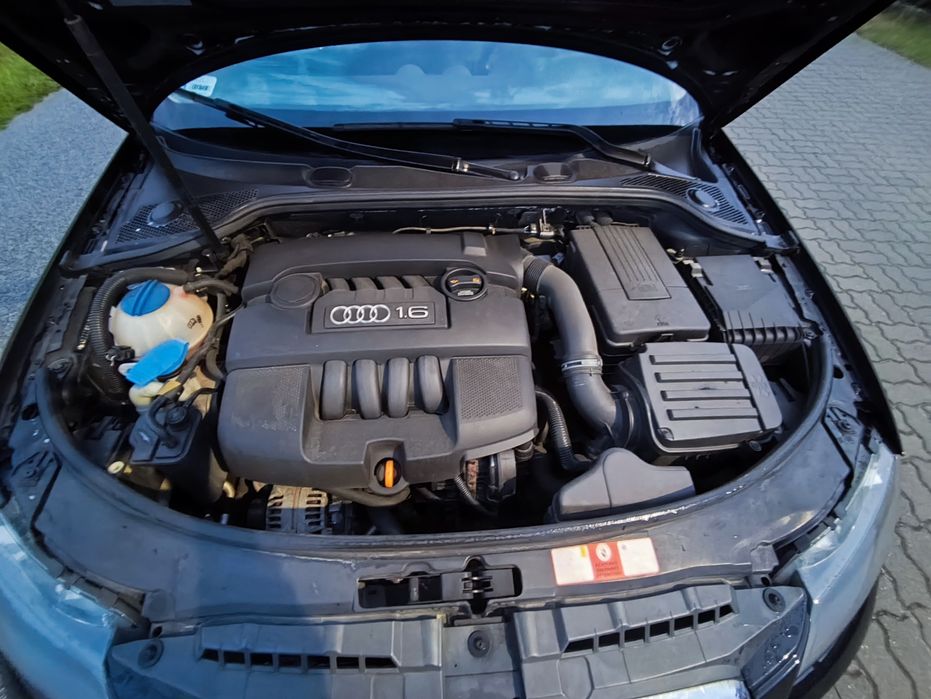 Audi A3 8P 1.6 mpi benzyna