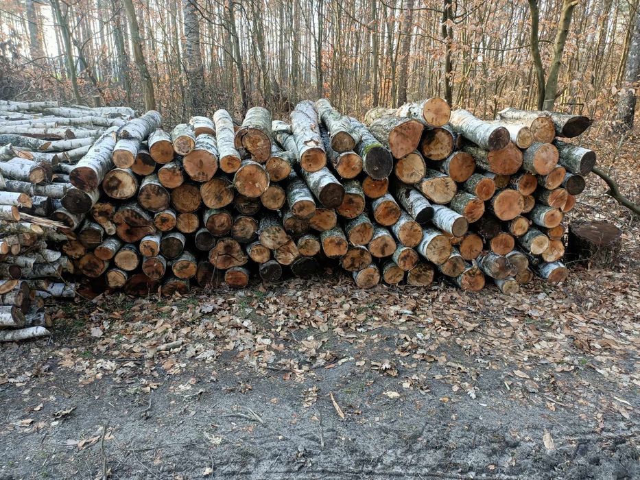 Sprzedam drewno opałowe sosna brzoza buk dąb