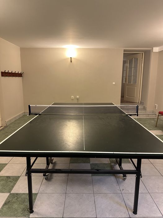 Profesjonalny stół do ping ponga / tenisa stołowego
