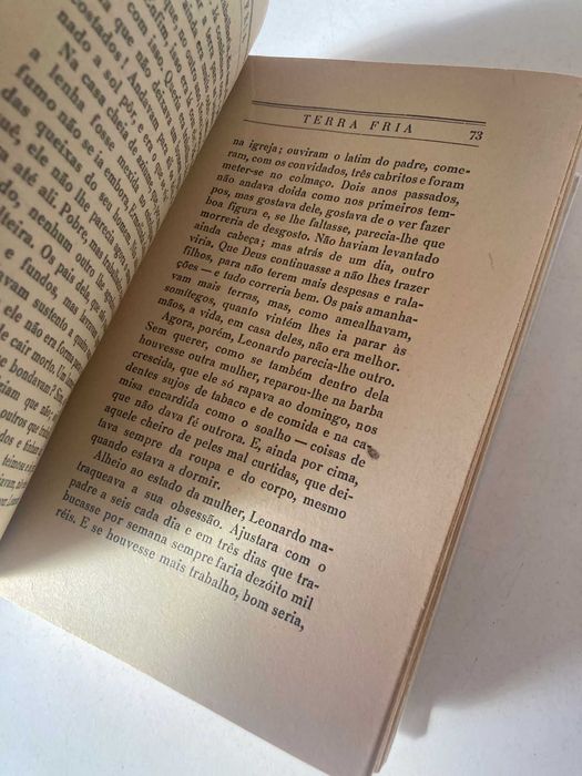 Livro - Terra Fria (ctt editorial grátis)