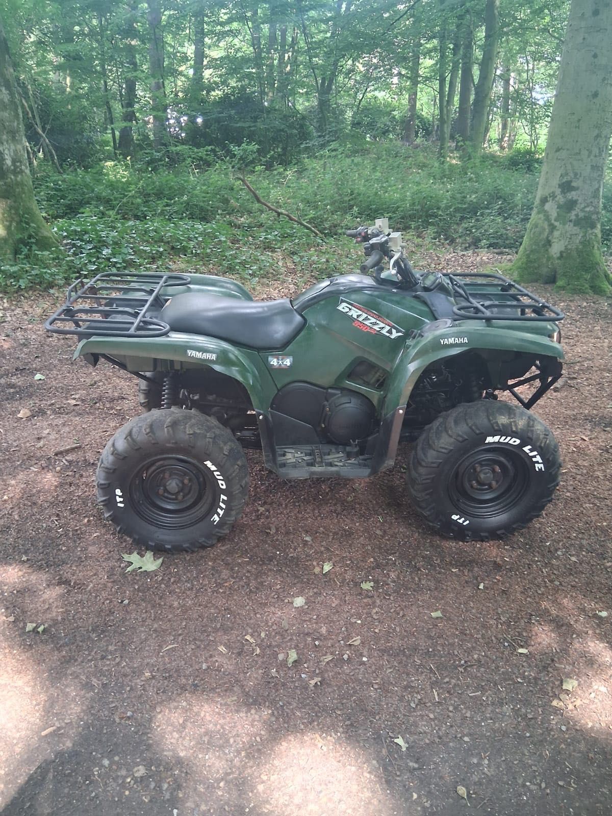 Quad Yamaha Grizzly