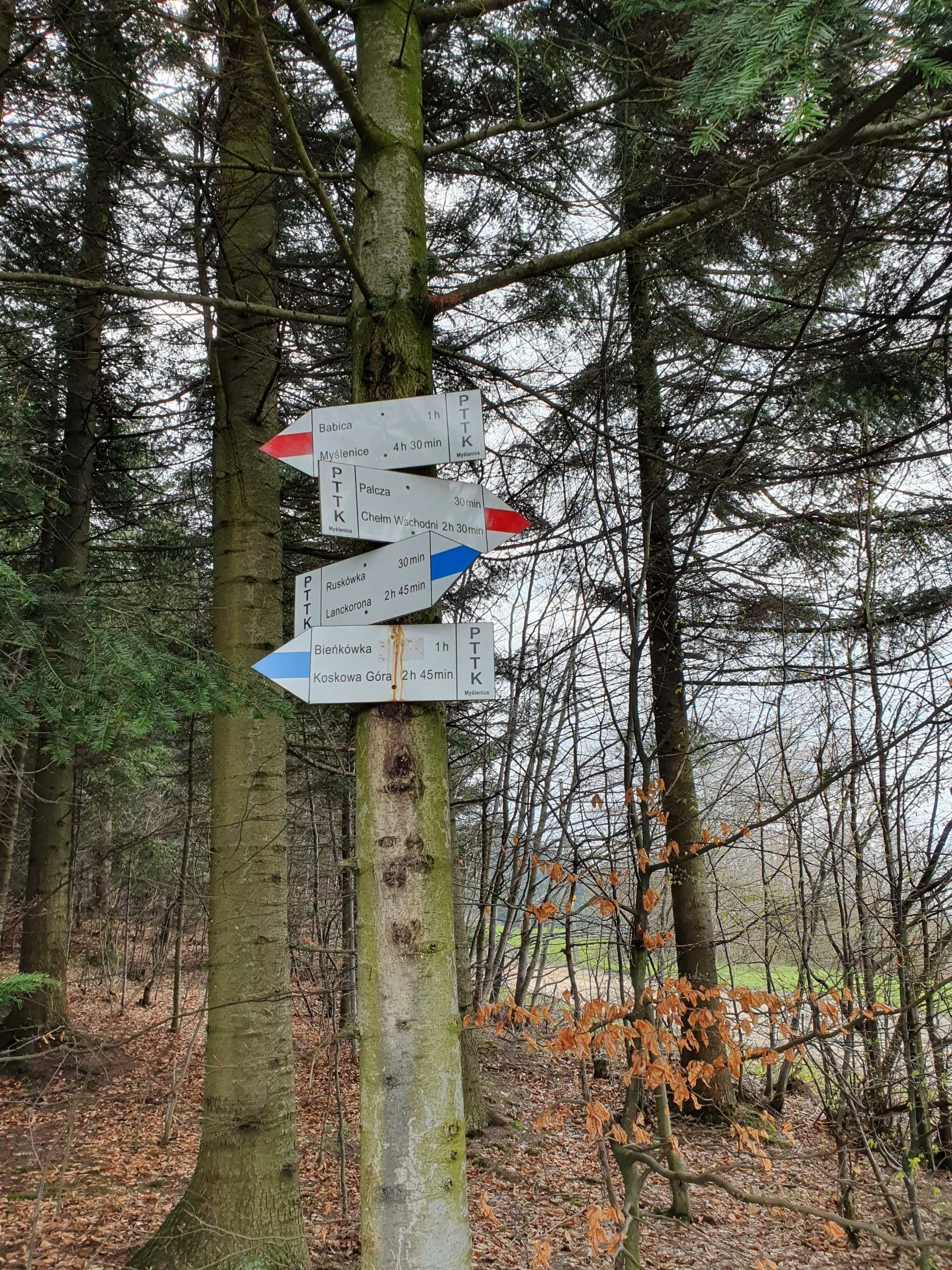 Domek pod jodełką Harbutowice