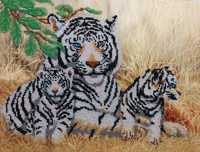 Картина вышита бисером "Тигры"/ Картина вишита бісером "Тигри"