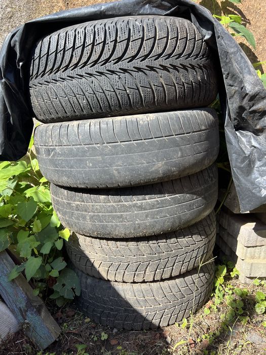 безкоштовно під клумби