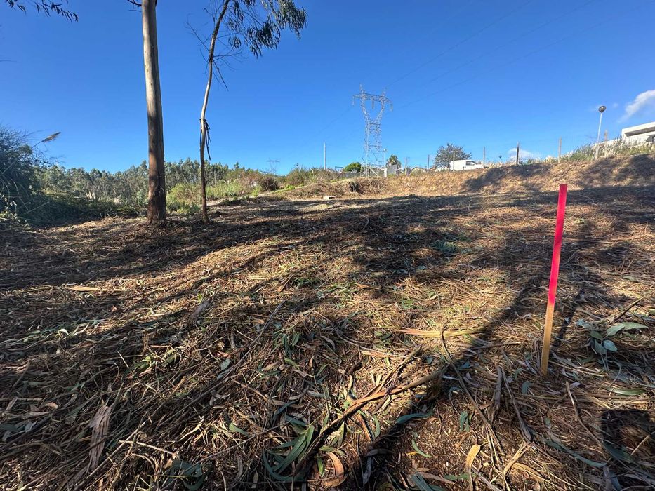 Lote Urbano em Sanfins, Santa Maria da Feira