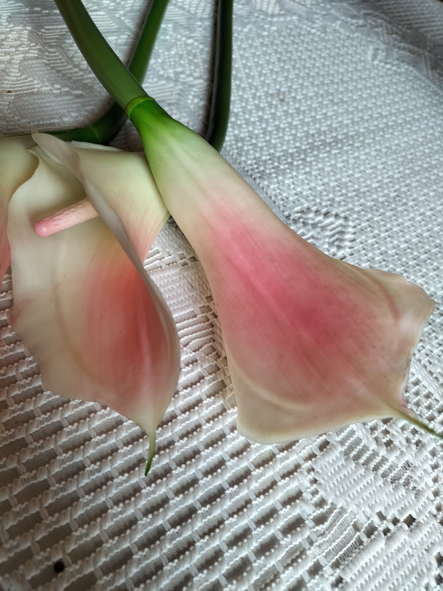 Zestaw 3 sztucznych kwiatów gumowych Kalla