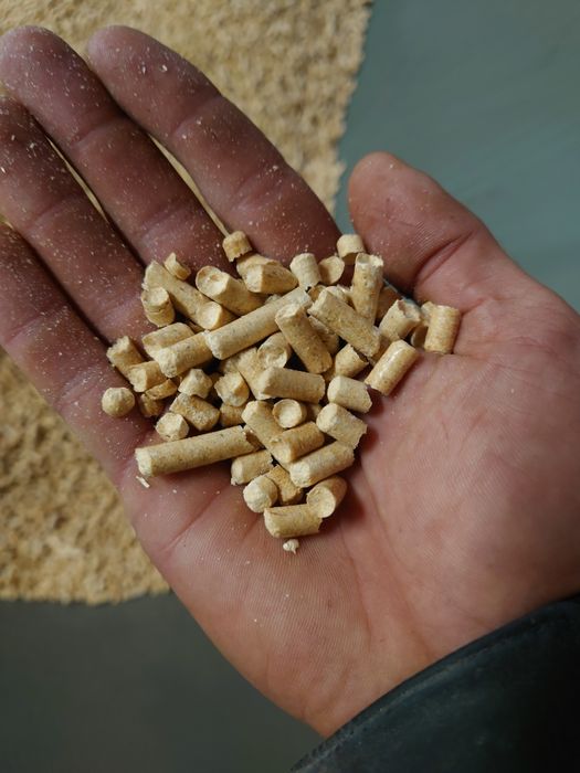 Pellet sosnowy producent