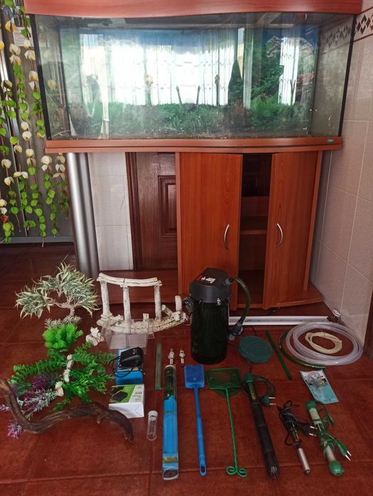 Aquário em forma de onda panorâmico