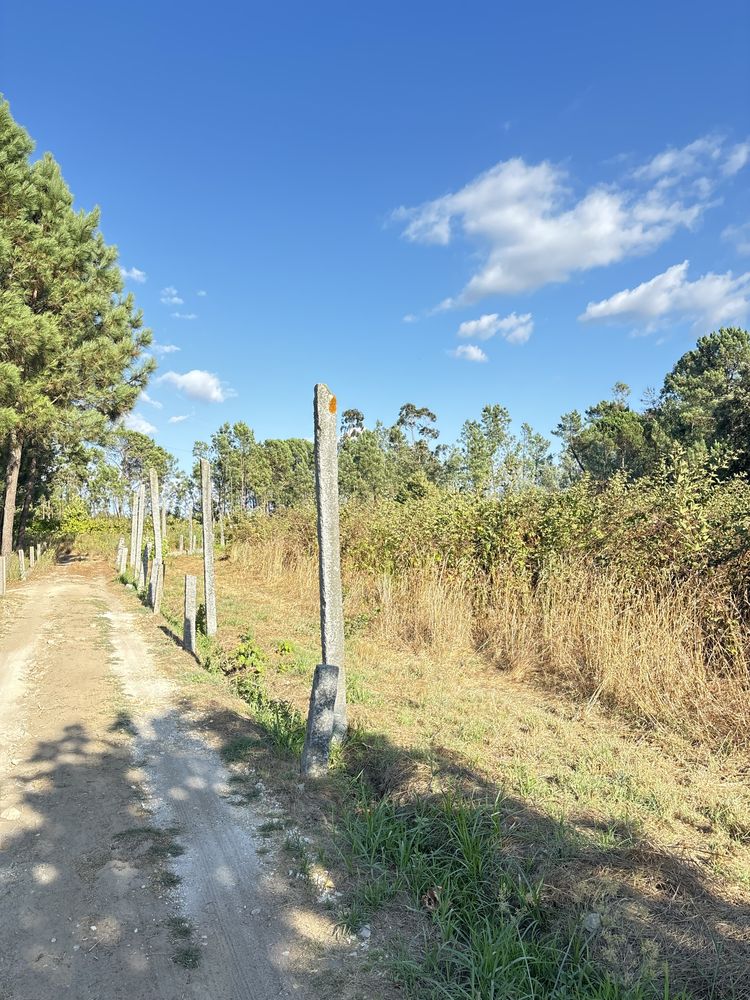 Terreno 7400m2 Barreiros Amares