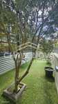 Apartamento T1 em Rua do Paraíso do Freixo - Campanhã PRTBV/00684/CO