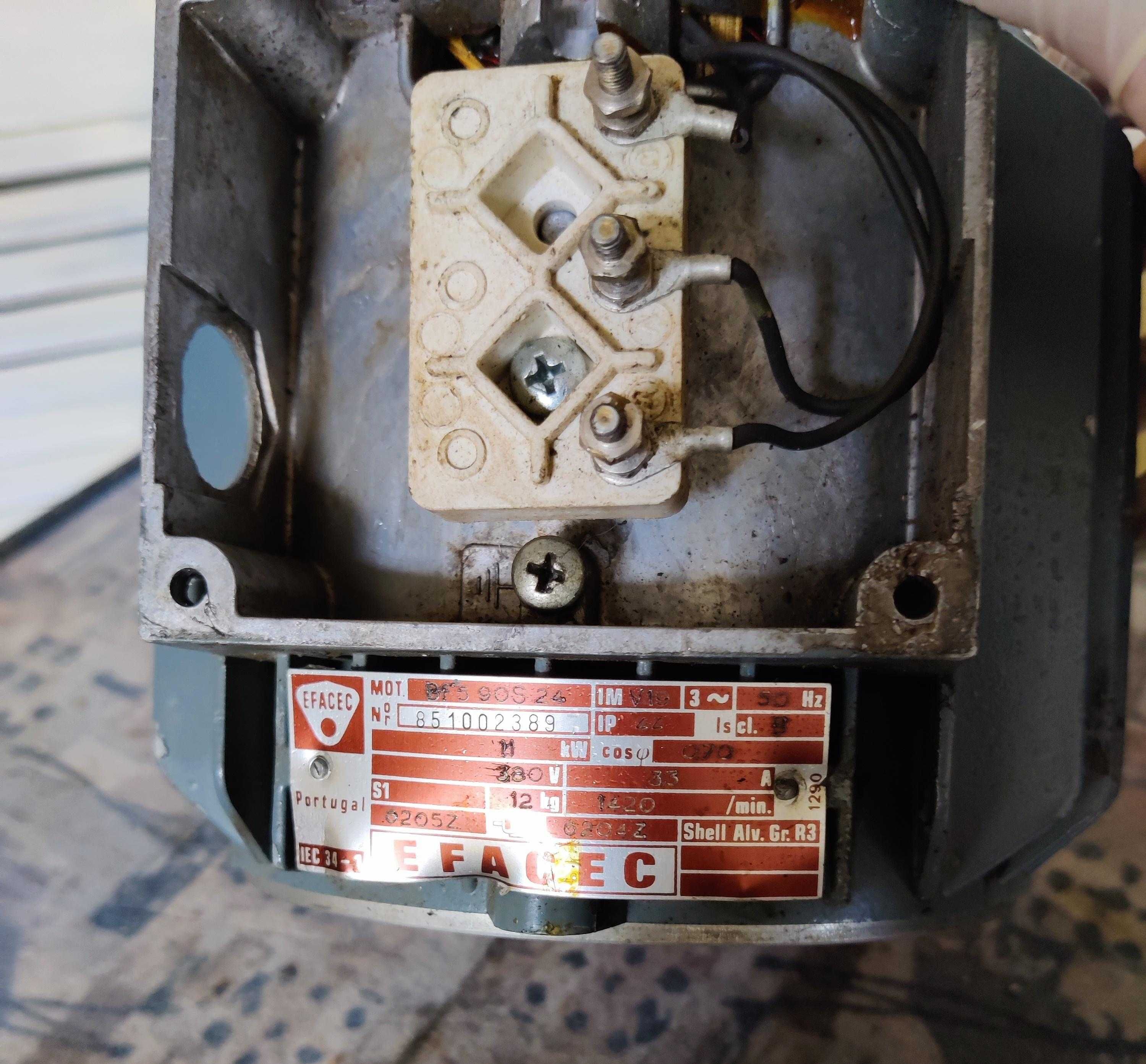Motor Industrial, Efacec, 50HZ