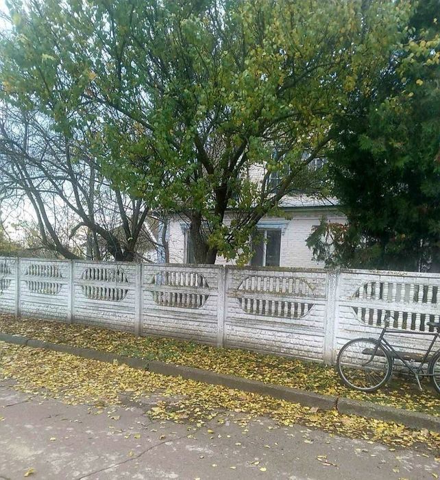 Продам будинок в селі Карпилівка