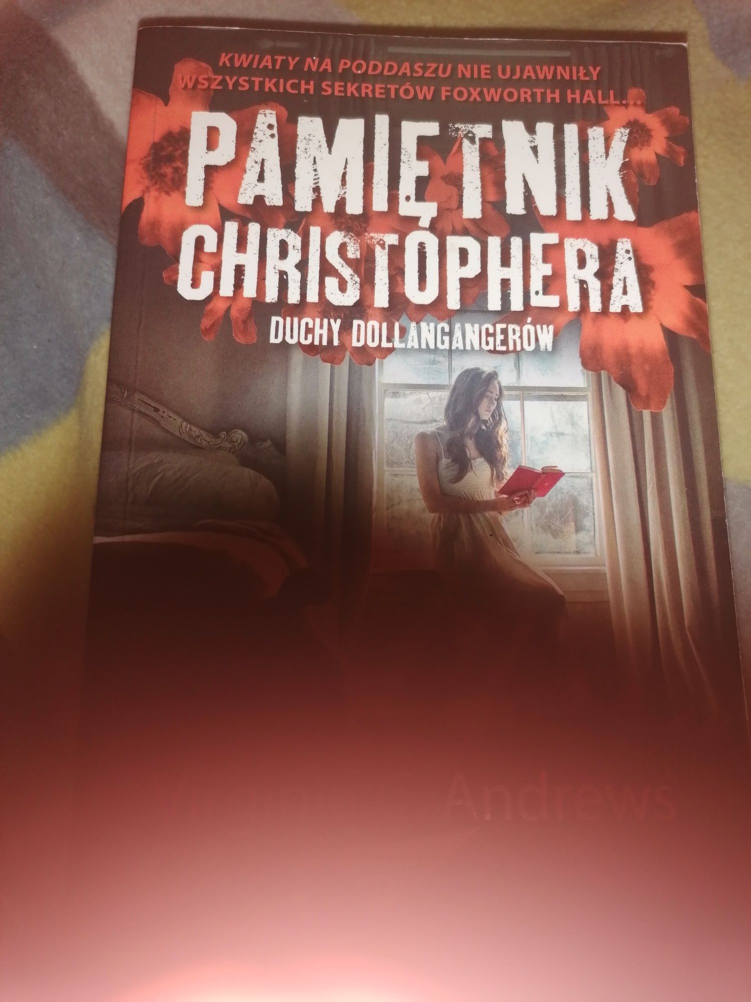 Książka pamiętnik cristophera