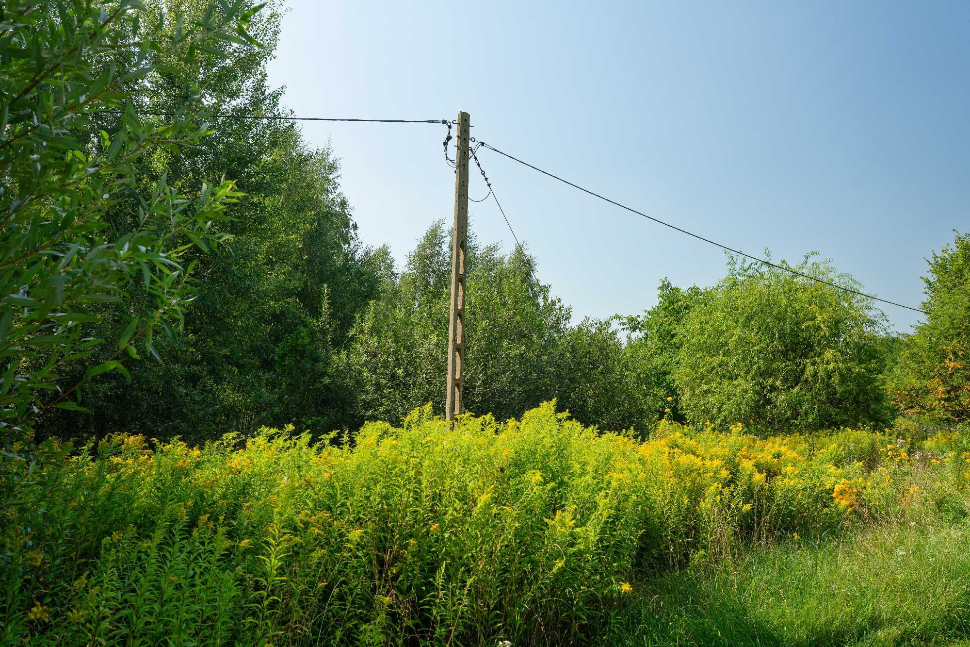 Działka nad jeziorem Orłowskim m. Teodorowo gm. Wielgie 4223 mkw