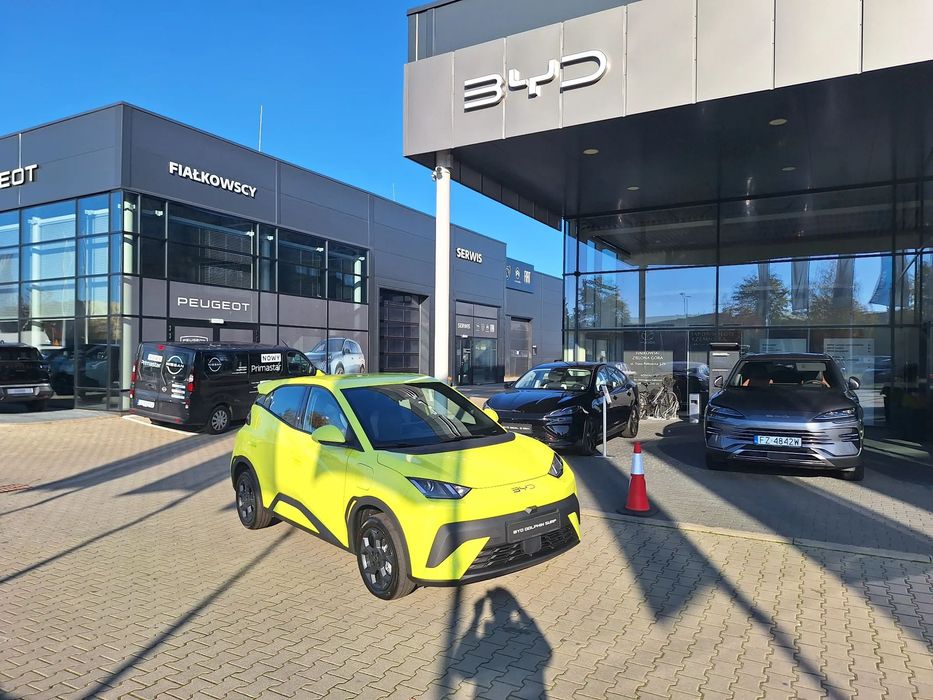 BYD Dolphin Surf BYD Dolphin Surf wersja Boost 43,2 (kWh)