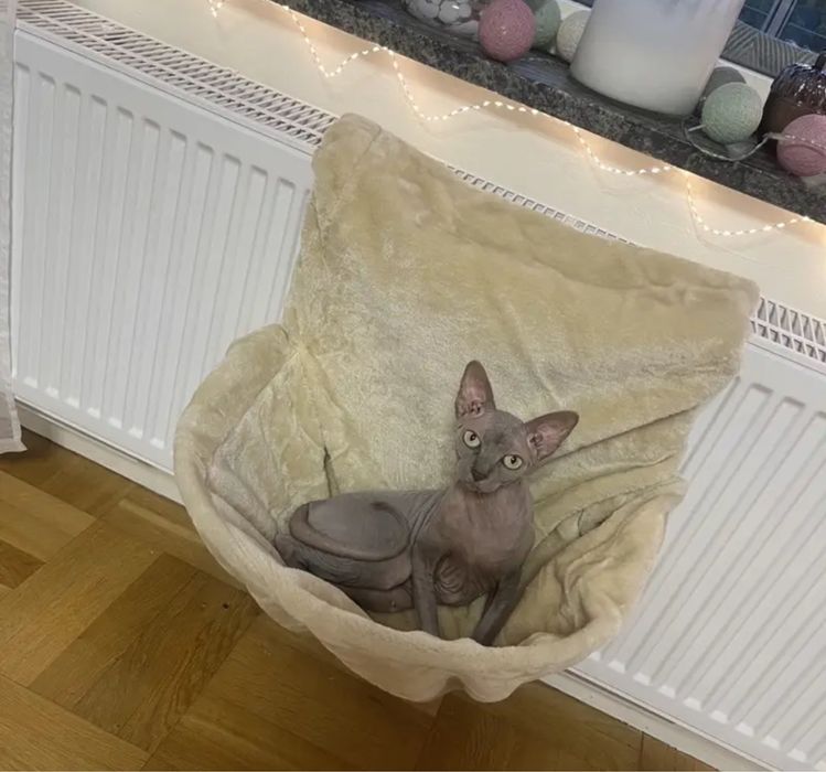 Подвесной гамак для котов лежанка для кошек