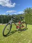 Rower meski GIANT