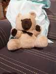 Urso de peluche