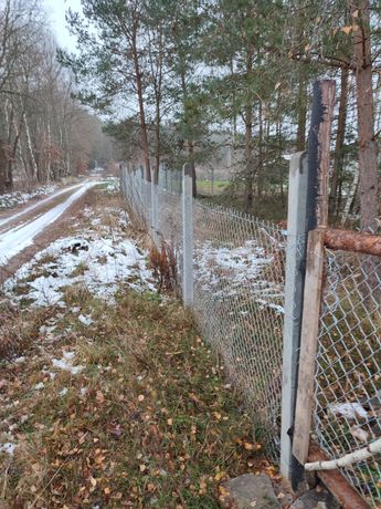 Działka 3000 M2 na sprzedaż.