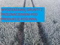 Wydzierżawię grunty pod uprawę