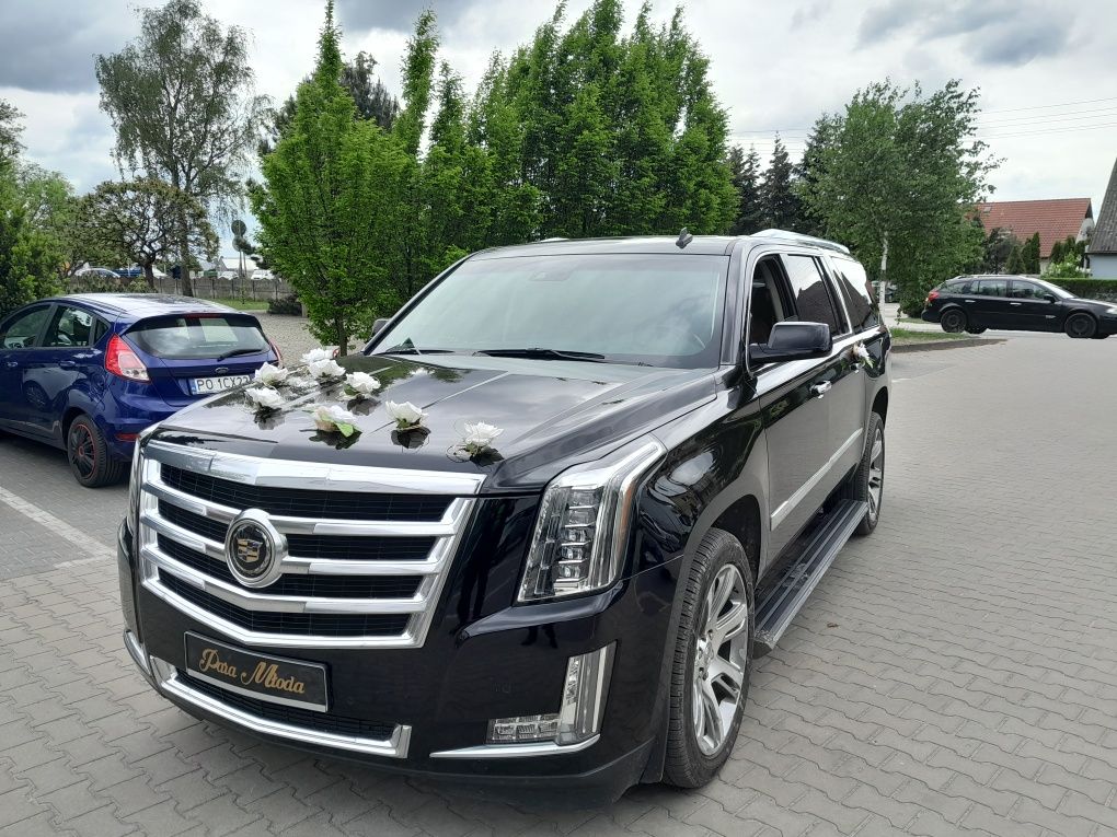 Auto do ślubu i na transfery Cadillac Escalade 500 zł całość.