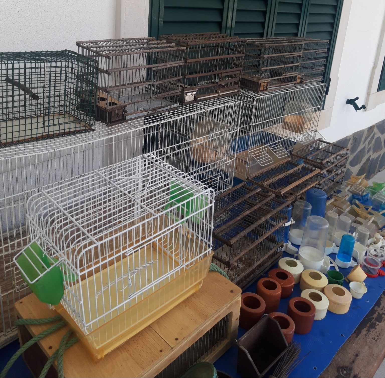 Gaiolas para pássaros, viveiros e acessórios