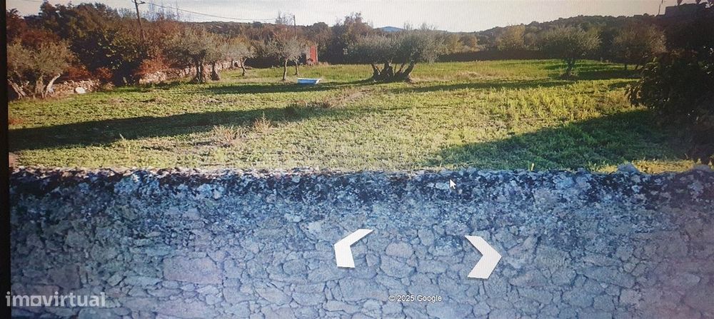 Terreno Rústico  Venda em Algodres, Vale de Afonsinho e Vilar de Amarg