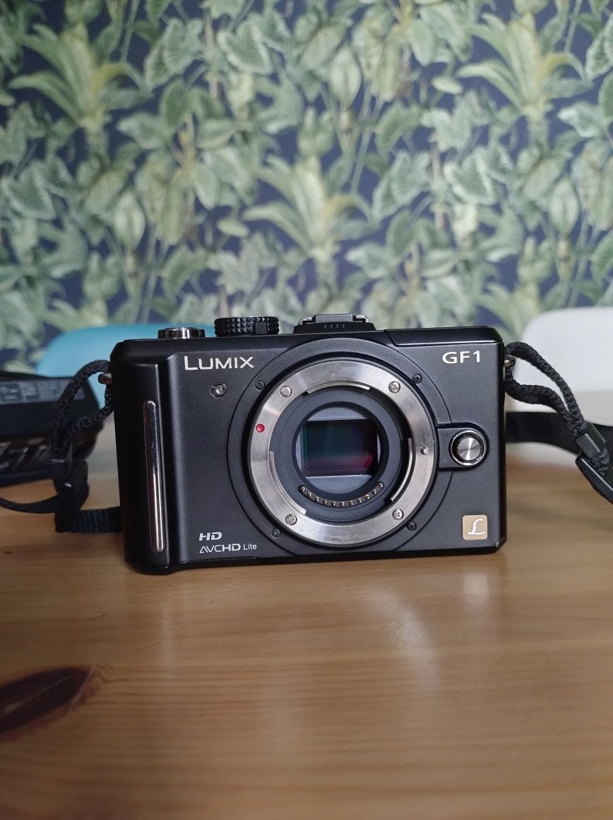 Panasonic Lumix GF1