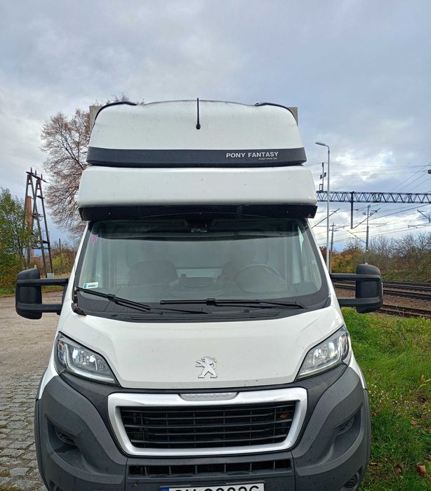 Usługi Transportowe Bus Plandeka 1440kg