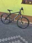 Rower Radon ZR TEAM