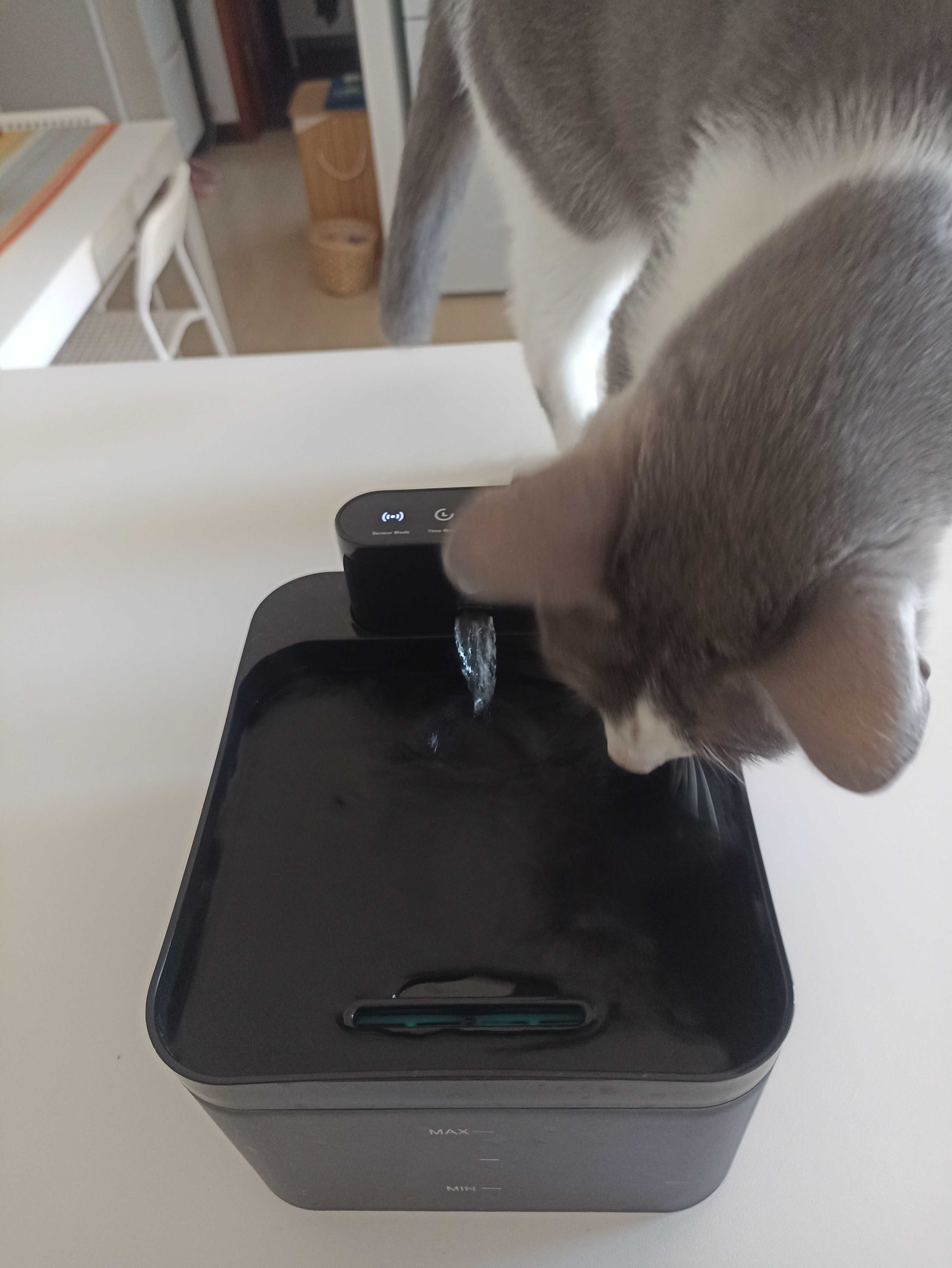 Bebedouro para gato