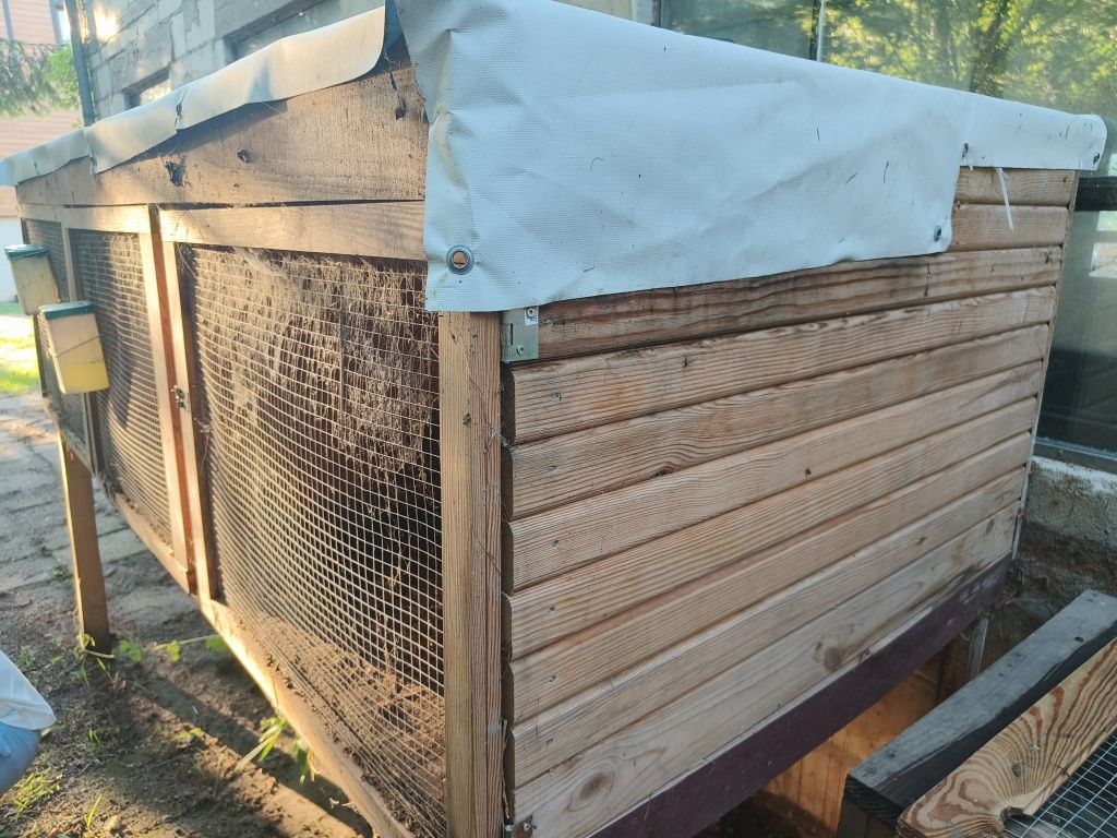 Klatki dla dużych ras królików