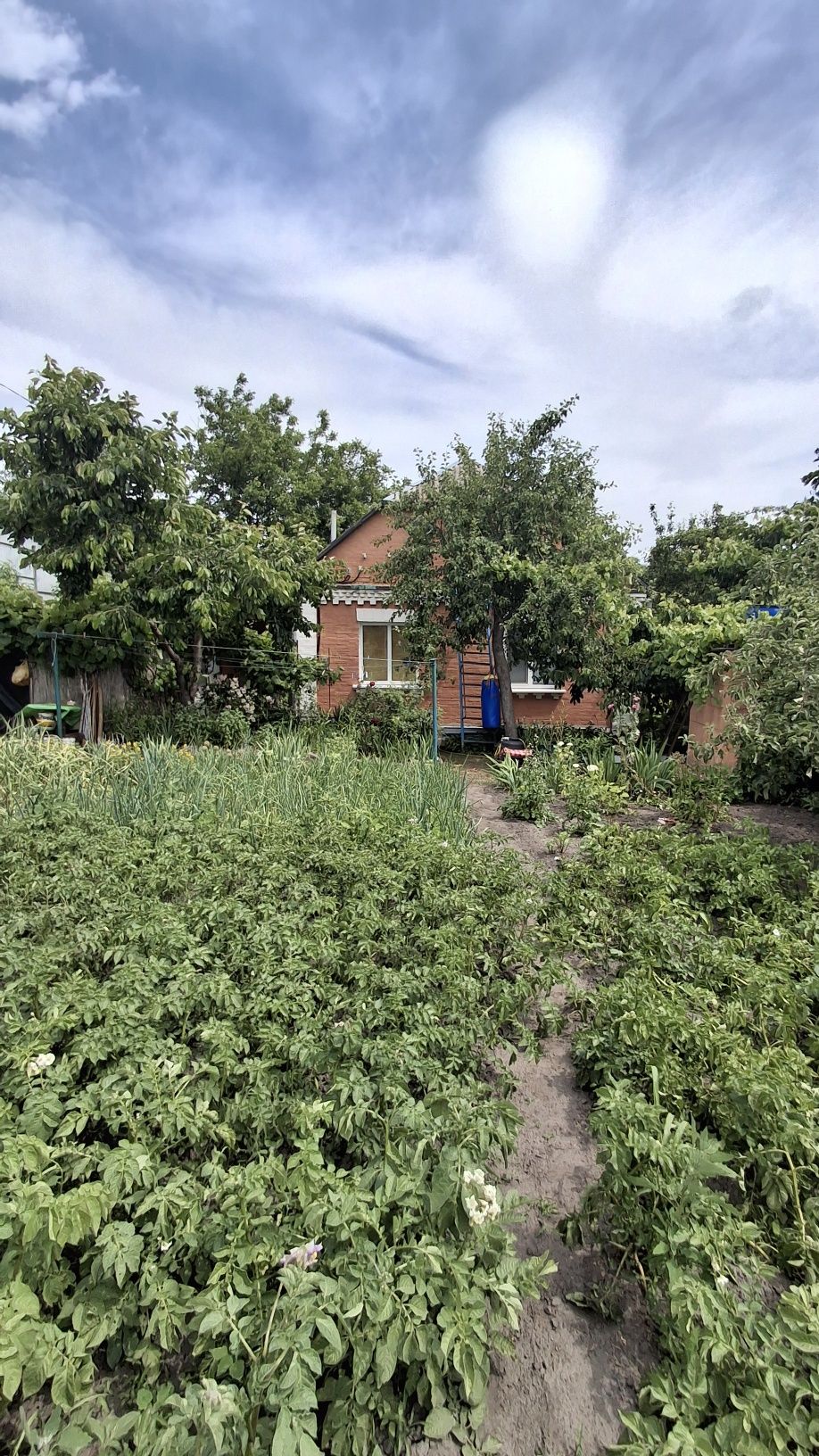 Продам будинок 5хв., до центру міста