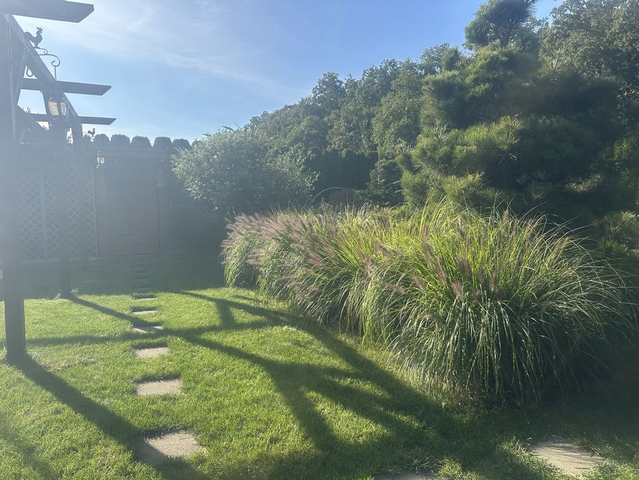 Działka Rod w Opalenicy