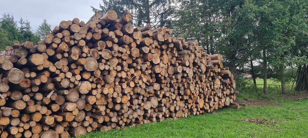 drewno stosowe papierówka 2.5. opałowe