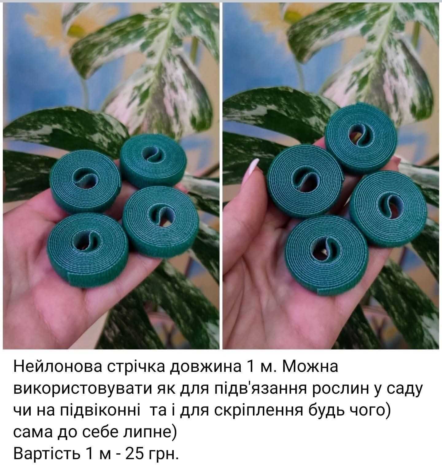 Мохові стійки для рослин