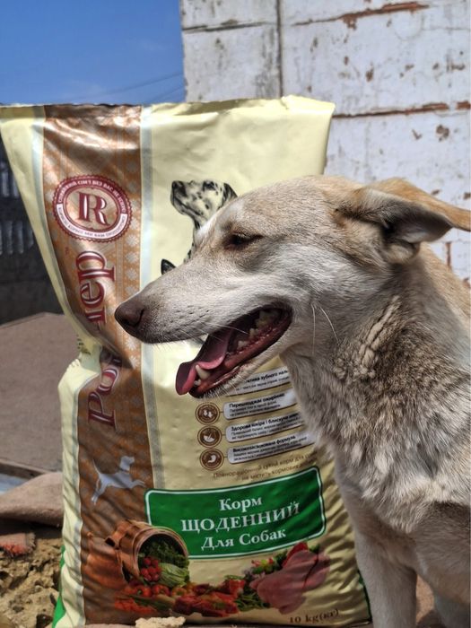 Куколка шукає родину