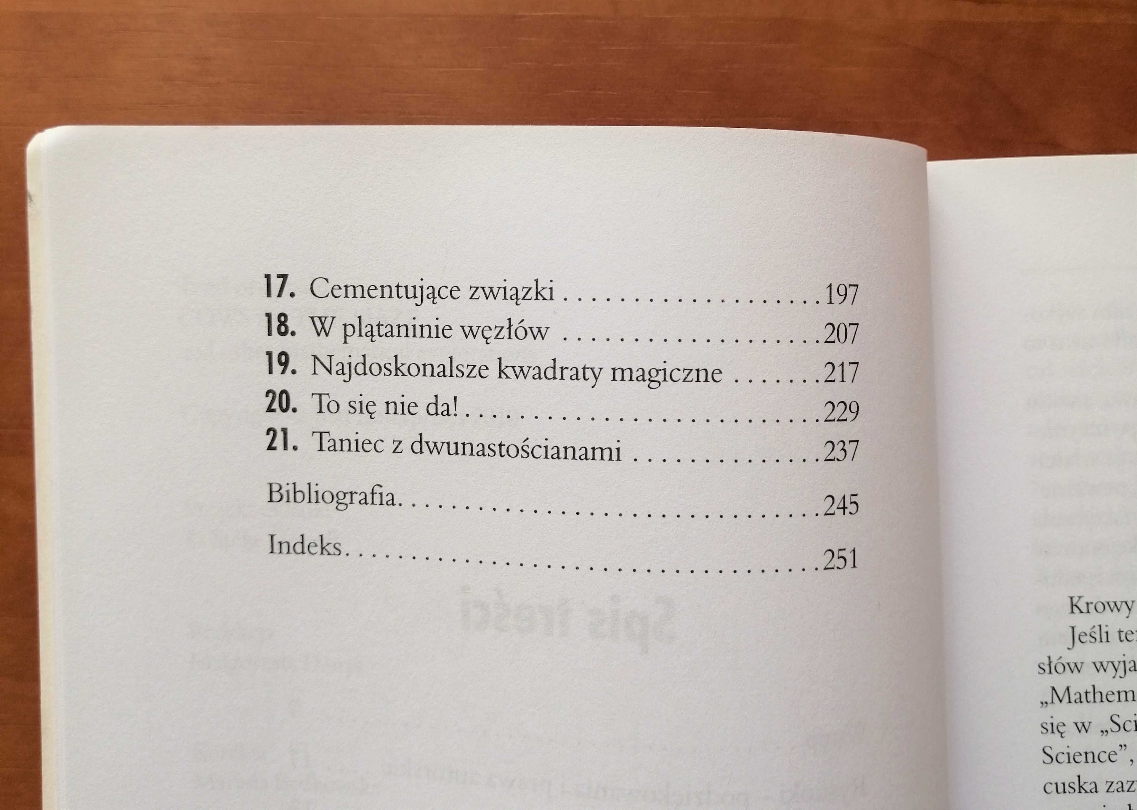 Książka „Krowy w labiryncie i inne eksploracje matematyczne”, stan bdb