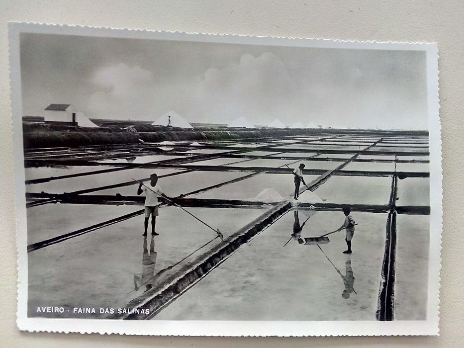 Lote de postais variados antigos