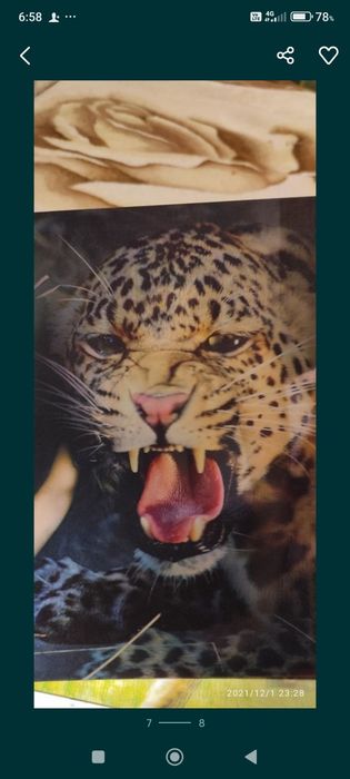 3д картинки,8 штук