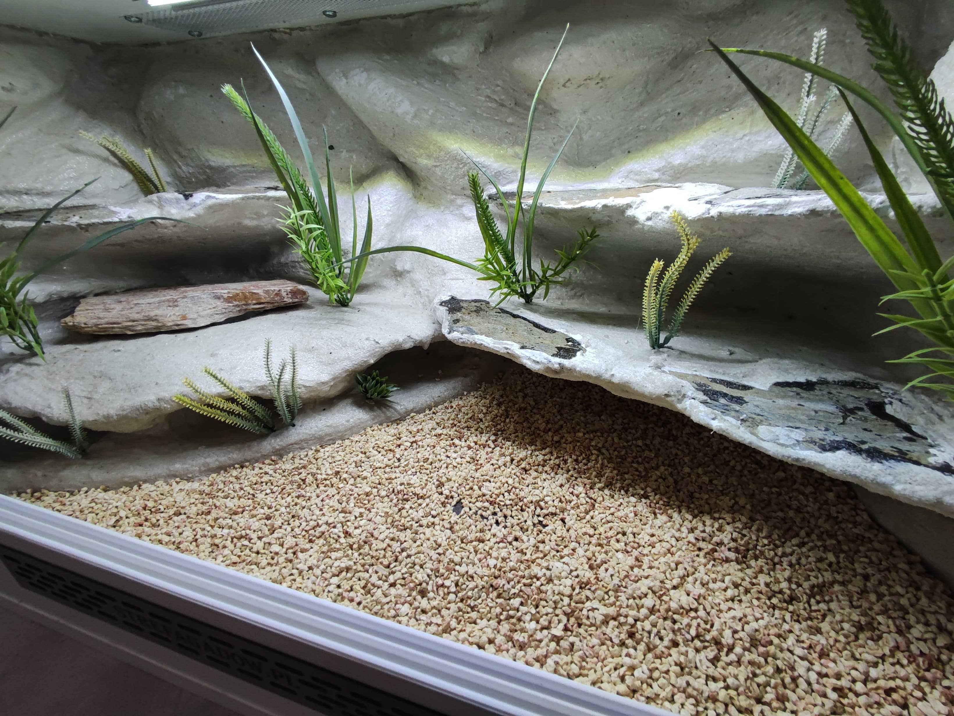 Terrarium pustynne nr743 80/40/40 dla gekonów lamparcich DOSTĘPNE