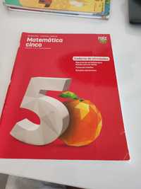 Matemática Cinco - caderno de actividades