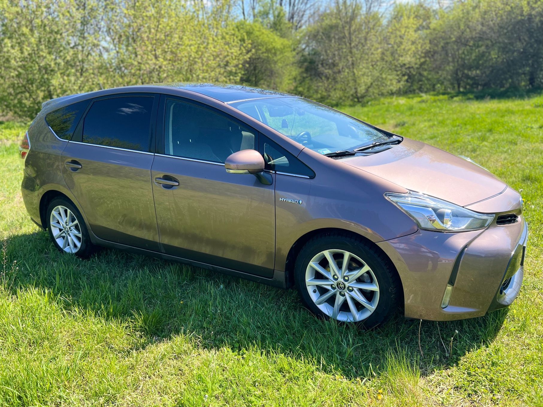Toyota Prius+ **Toyota Prius+ | 7-osobowy VAN | Brązowy Metalik**