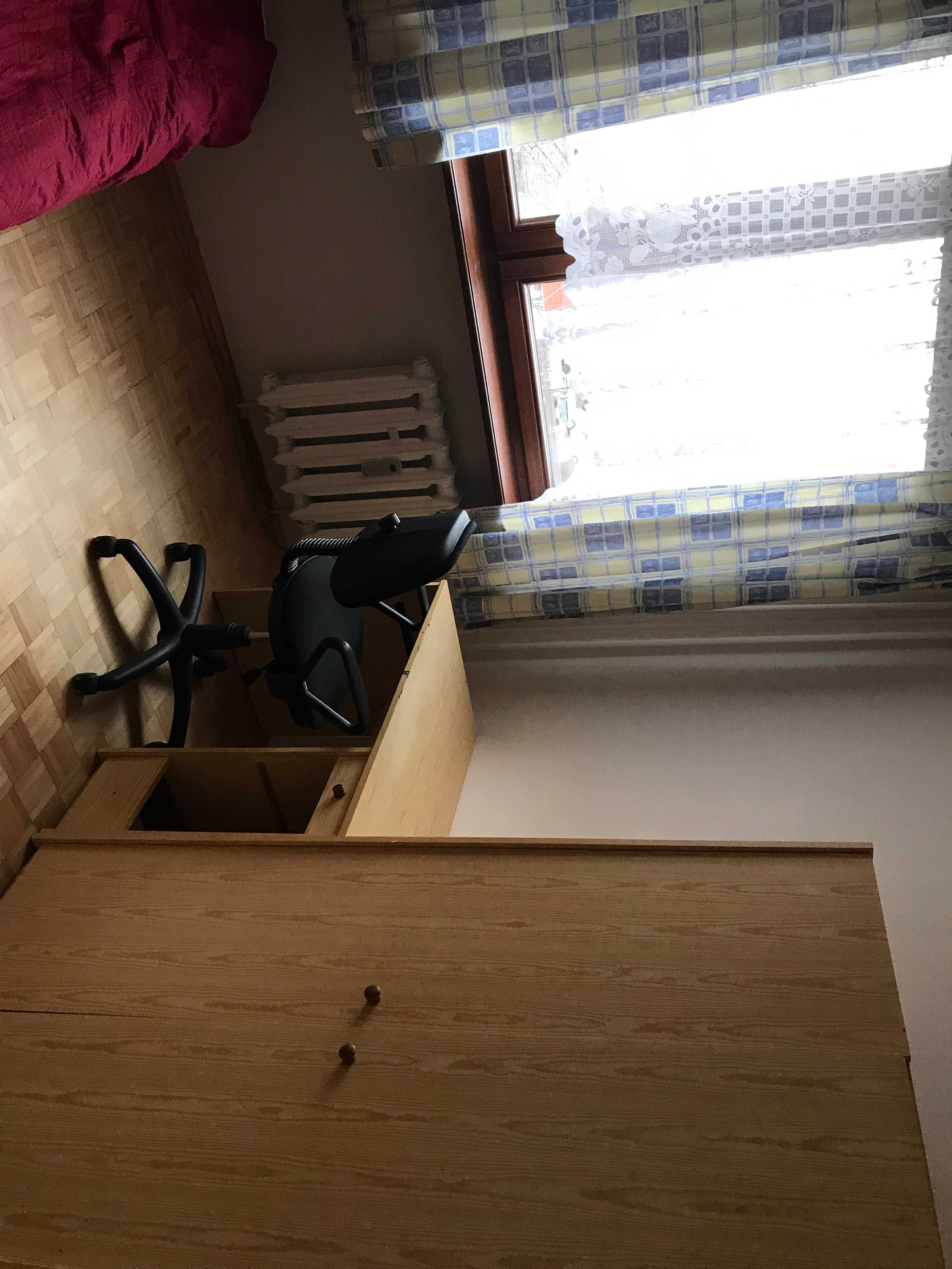 Słoneczny pokój w zielonym zakątku, cisza i spokój