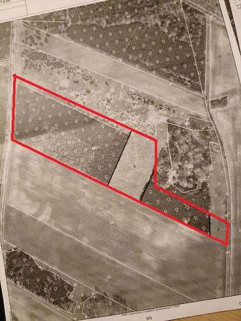 Sprzedam Las 3,29ha + pole orne 0.88ha